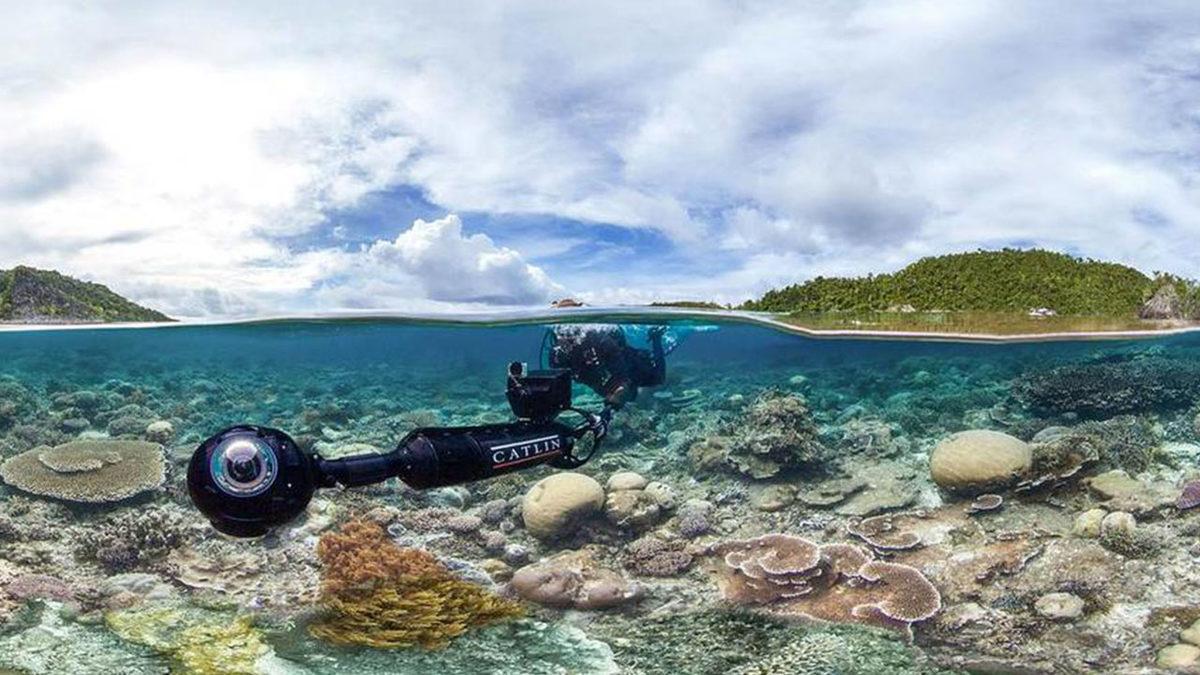 Okullarda Mutlaka İzletilmesi Gereken Ufuk Açıcı 14 Belgesel