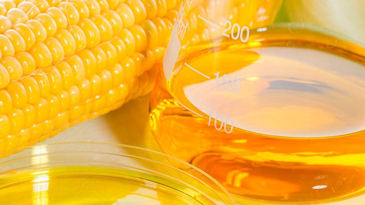 Orta Doğu Ülkelerinde Kansere Yakalanma Oranı Dünyanın Geri Kalanına Kıyasla Neden Daha Az?