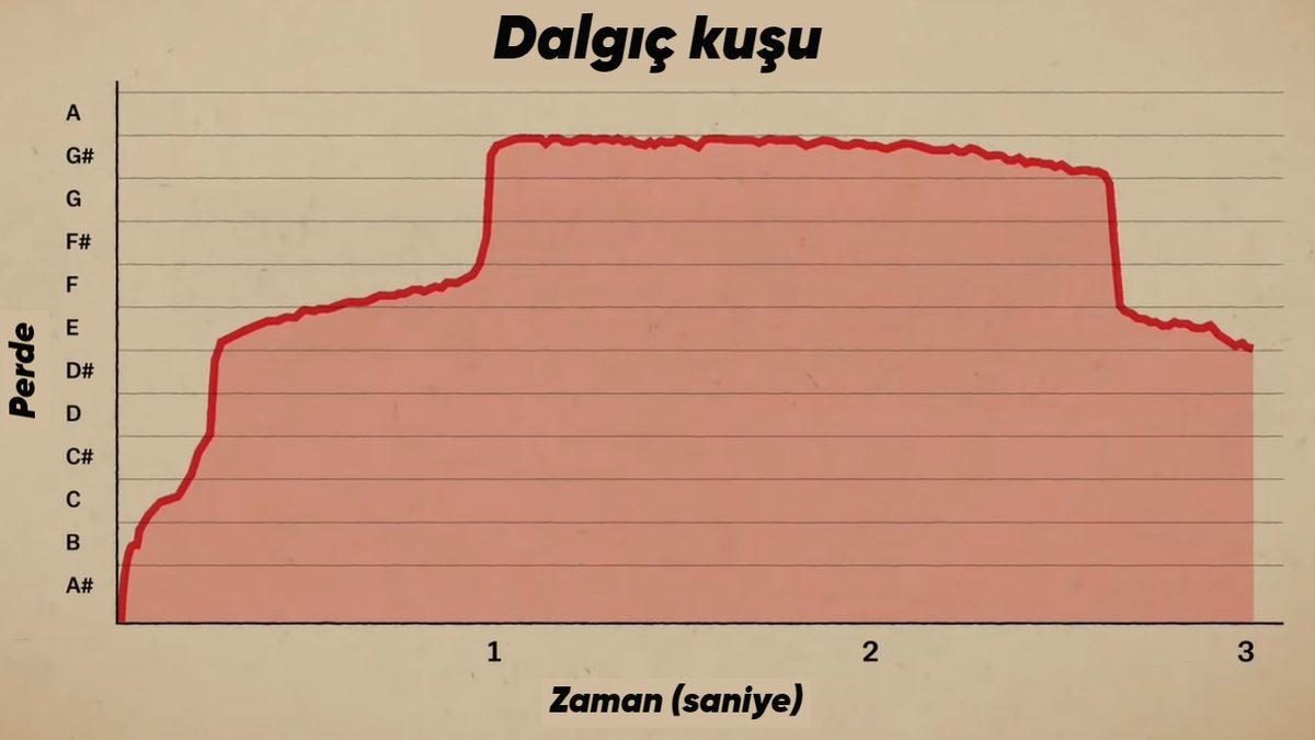 Onu Görmeseniz Bile Sesini Tanıyorsunuz: Hollywood Filmlerindeki Ürpertici Sahnelerde Neden Hep Bu Kuşun Sesi Duyuluyor?