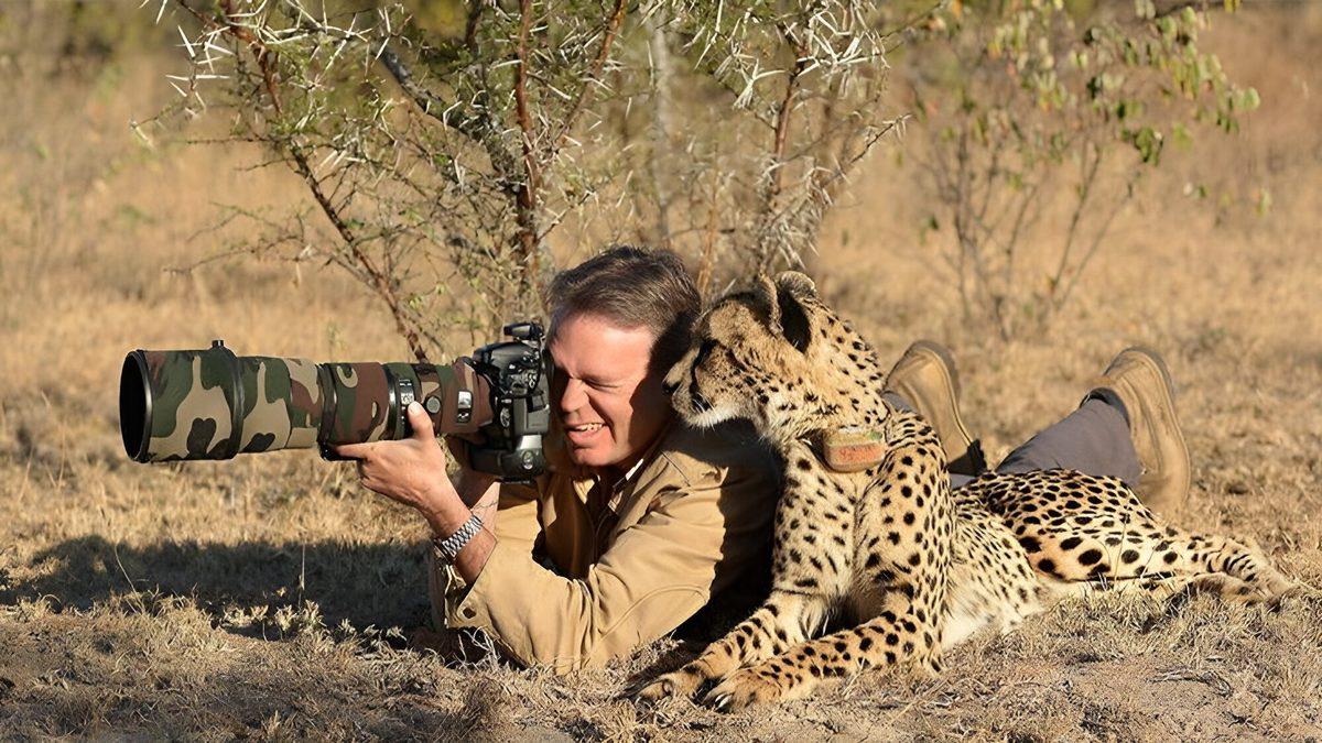 Vahşi Doğa Belgesellerinde Kameramanlar Nasıl Oluyor da Hayvanlar Tarafından Fark Edilmeden Çekim Yapabiliyor?
