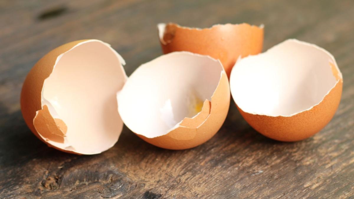 Bataryalardaki Lityum İyon Teknolojisi, Yerini Yumurta Kabuklarına Bırakabilir