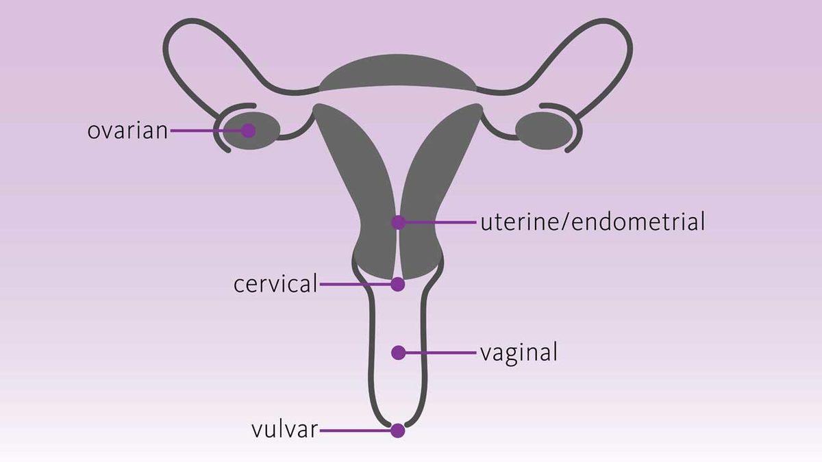 Birbirine Karıştırılan Bu Tıbbi Terimlerin Doğrusunu Öğrenince “Nasıl da Yanlış Kullanıyormuşum!” Diyeceksiniz