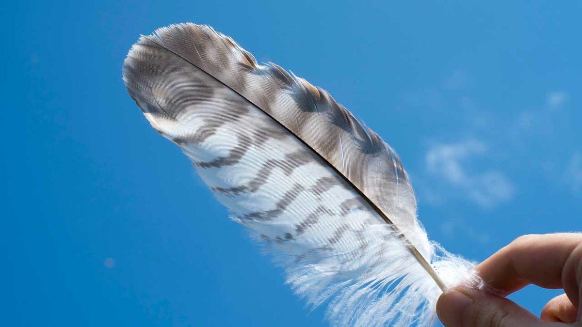 Birbirine Karıştırılan Bu Tıbbi Terimlerin Doğrusunu Öğrenince “Nasıl da Yanlış Kullanıyormuşum!” Diyeceksiniz