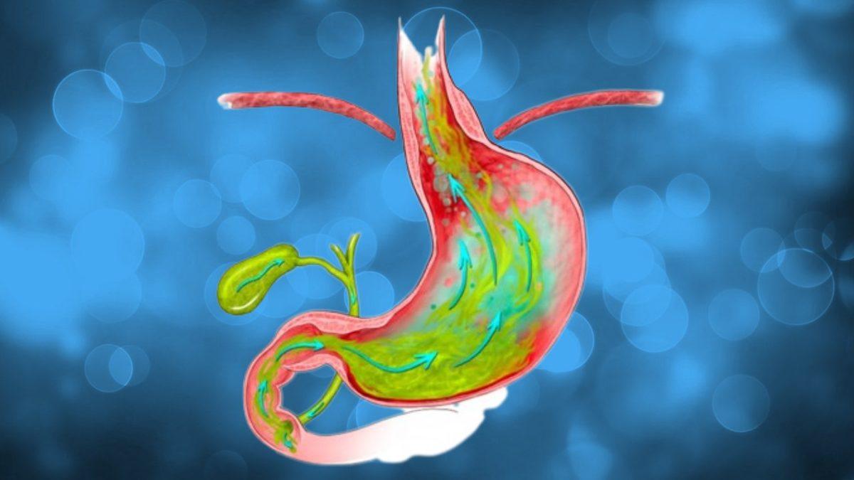 Sürekli Farklı Renkte Şeyler Yememize Rağmen Dışkımız Neden Hep Kahverengi?