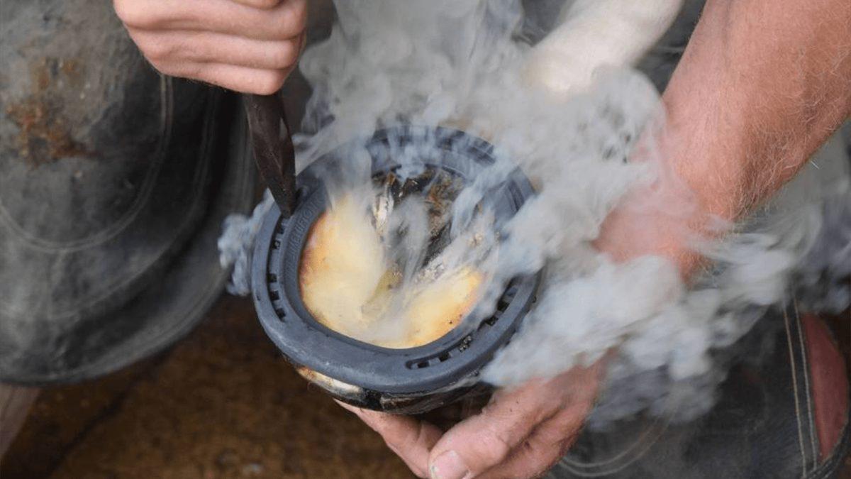 At Nalı Temizleme Videolarını İzlemesi Çok Rahatlatıcı Ancak Düşünmediğimiz Bir Şey Var: Atların Canı Yanıyor mu?