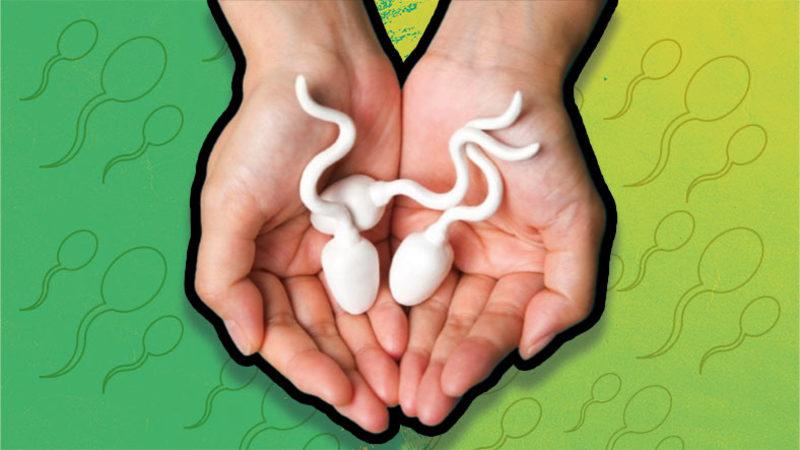 Tüm Şehir Efsanelerini Unutun: Erkek Üreme Hücresi ’Sperm’ Hakkında 9 Bilimsel Gerçek