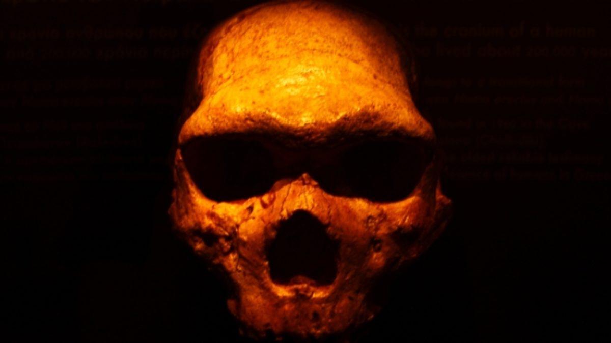 İnsanların Kayıp Atalarının İzi Bulunmuş Olabilir: İşte Bildiklerimizi Değiştirebilecek Araştırma Sonuçları