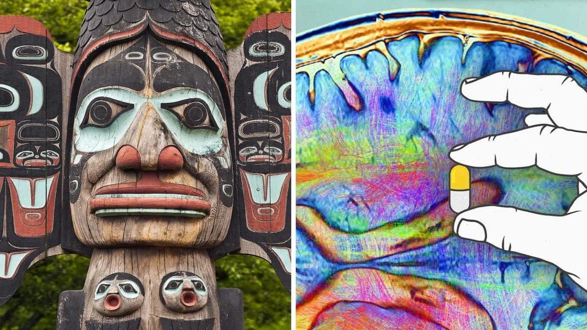 Şansın Arkasındaki Bilim: Şansımızı Kendimiz mi Yaratıyoruz, Yoksa Her Şey Birbirine mi Bağlı?