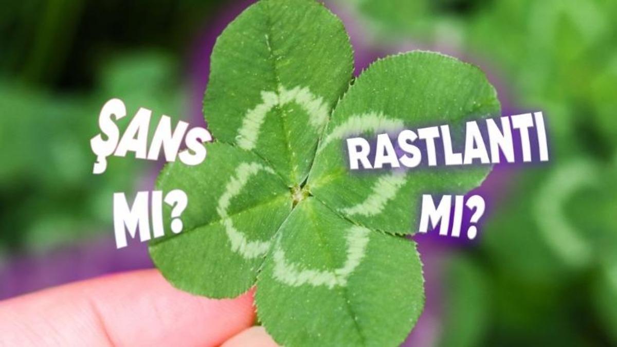 Şansın Arkasındaki Bilim: Şansımızı Kendimiz mi Yaratıyoruz, Yoksa Her Şey Birbirine mi Bağlı?