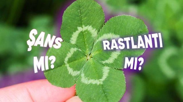 Şansın Arkasındaki Bilim: Şansımızı Kendimiz mi Yaratıyoruz, Yoksa Her Şey Birbirine mi Bağlı?