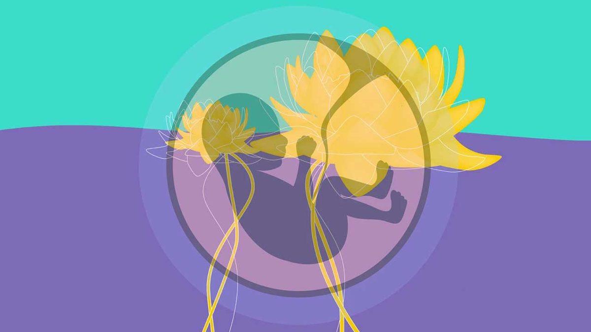 Doğum Sonrasında Göbek Bağı Hiç Kesilmezse Ne Olur? Aslında Bazı Kültürlerde Uygulanıyor!