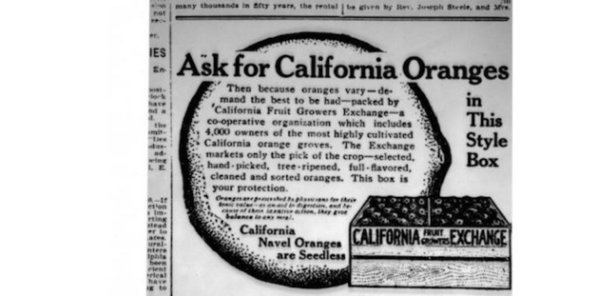 Amerikalıların Kahvaltıda Neden Portakal Suyu İçtiğini Öğrenince “Kapitalizmin Kuklası Olmuşuz.” Diyeceksiniz