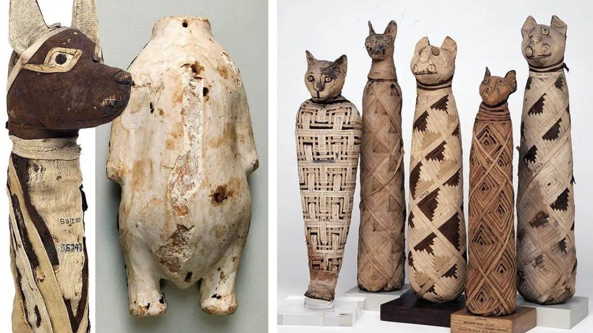 Orta Çağ’da Uğursuz Kabul Edilen Kediler, Antik Mısır’da Neden Bu Kadar Değerliydi? Kedi Öldürmenin Cezası Ölümdü!