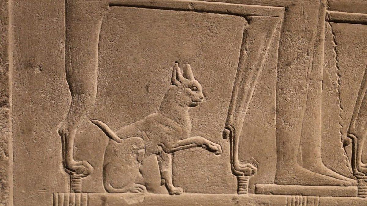 Orta Çağ’da Uğursuz Kabul Edilen Kediler, Antik Mısır’da Neden Bu Kadar Değerliydi? Kedi Öldürmenin Cezası Ölümdü!