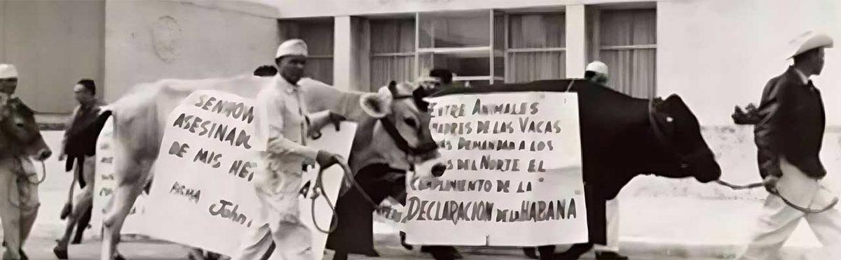 Dünyada Eşi Benzeri Yok: Uzaydan Düşen Uydu Parçasının Öldürdüğü Bir İneğin ABD ve Küba Arasındaki Gerilimi Tetiklediği Absürt Olay