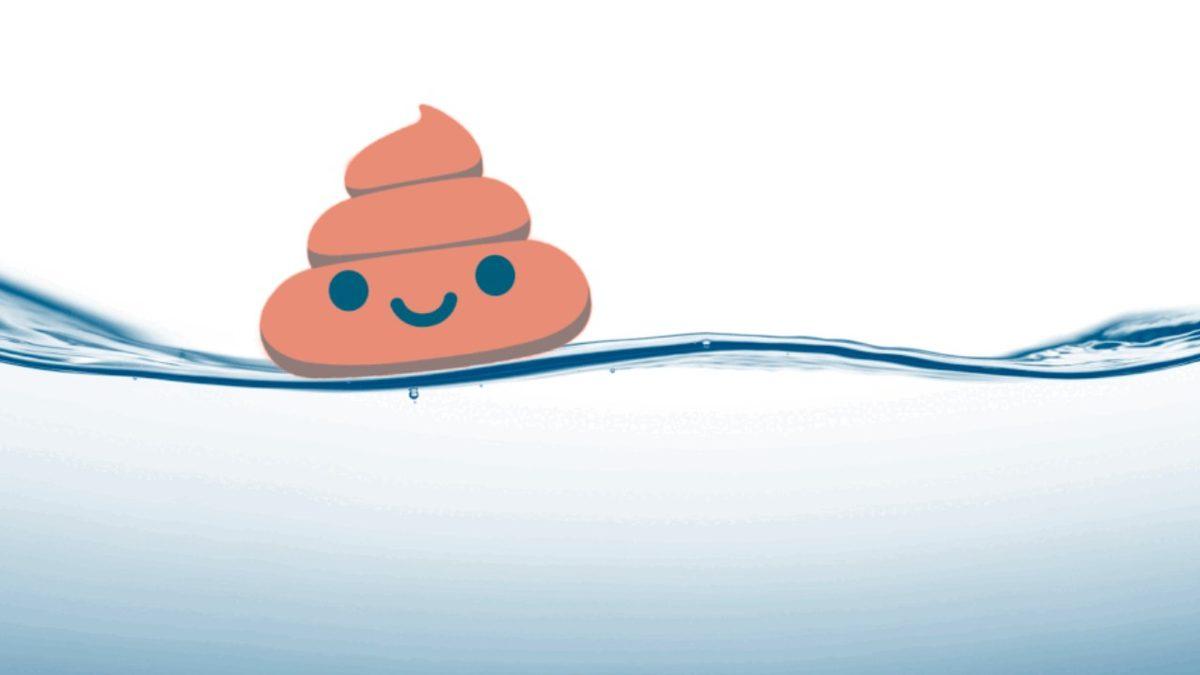 Dışkılar Bazen Suyun Üzerinde Yüzerken Bazen Neden Batar? Sebebini Öğrenince Arkanıza Dönüp Bakmak İsteyeceksiniz!