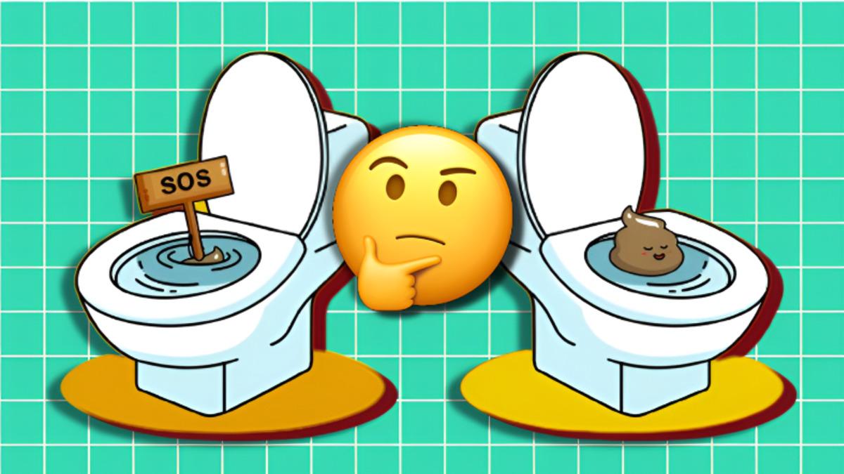 Dışkılar Bazen Suyun Üzerinde Yüzerken Bazen Neden Batar? Sebebini Öğrenince Arkanıza Dönüp Bakmak İsteyeceksiniz!