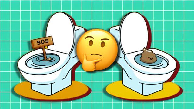 Dışkılar Bazen Suyun Üzerinde Yüzerken Bazen Neden Batar? Sebebini Öğrenince Arkanıza Dönüp Bakmak İsteyeceksiniz!