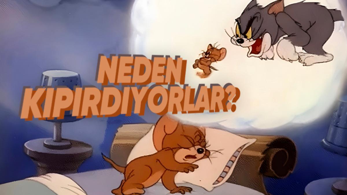 Hayvanlar da Rüya Görebilirler mi, Yoksa Bu Durum Sadece İnsanlara mı Özgü?