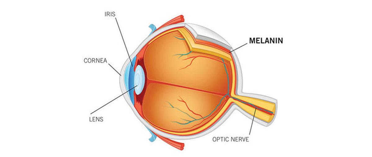 İnsanın İçine Kurt Düşüren Bilimsel Tartışma: Güneş Gözlüğü Takmak Yararlı mı, Zararlı mı?