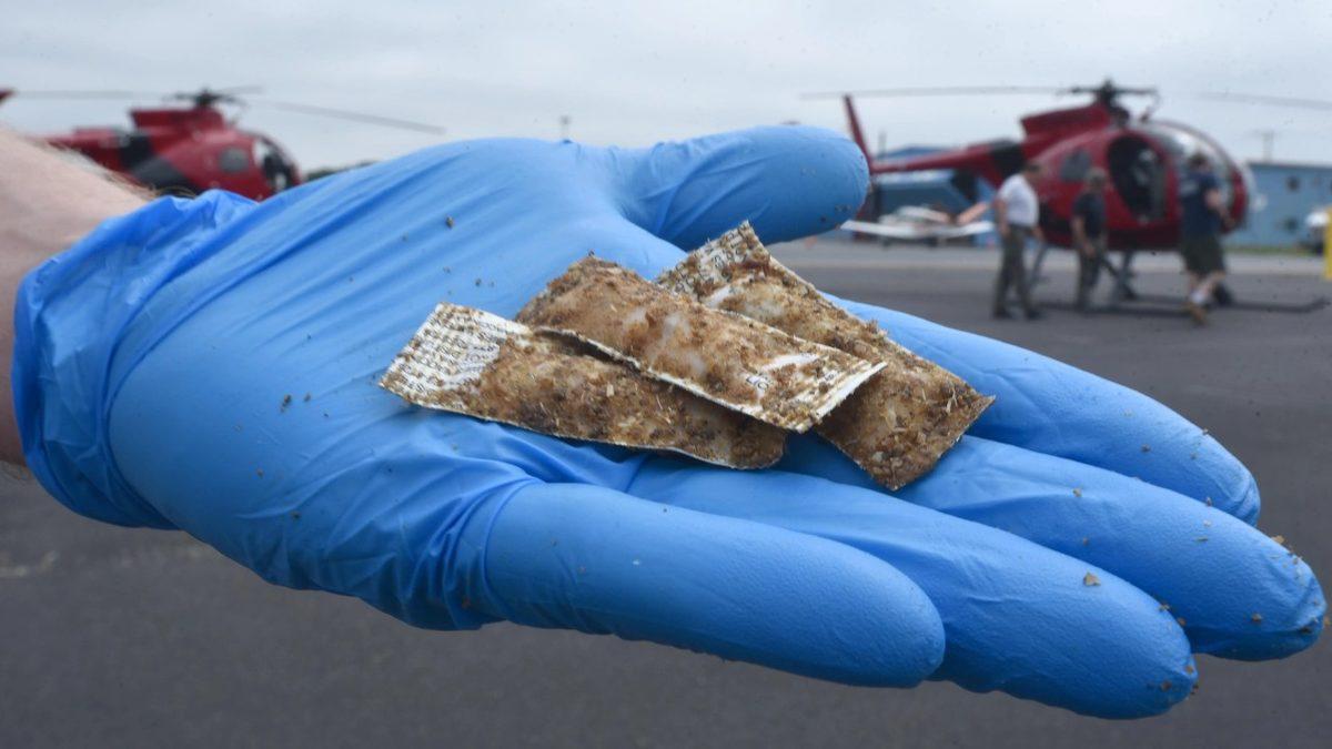Bir Zamanlar Avrupa’da Gökyüzünden Binlerce Tavuk Kafası Yağmıştı: Sebebini ise 40 Yıl Düşünseniz Aklınıza Gelmez!