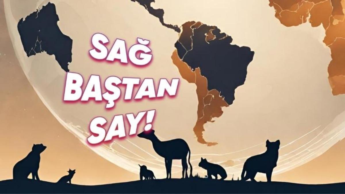 Dünya Üzerinde Şimdiye Kadar Toplamda Kaç Hayvan Türü Var Oldu? (Üstelik Yarısı Tek Bir Tür!)