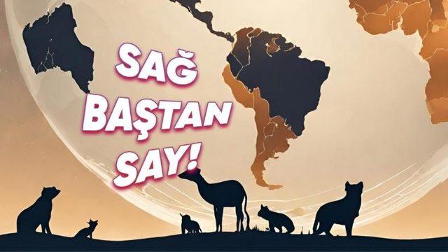 Dünya Üzerinde Şimdiye Kadar Toplamda Kaç Hayvan Türü Var Oldu? (Üstelik Yarısı Tek Bir Tür!)