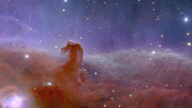 Öklid Teleskobunun Çektiği İlk Fotoğraflar Paylaşıldı: "Daha Önce Bu Kadar Detaylı Uzay Fotoğrafları Çekilmemişti"