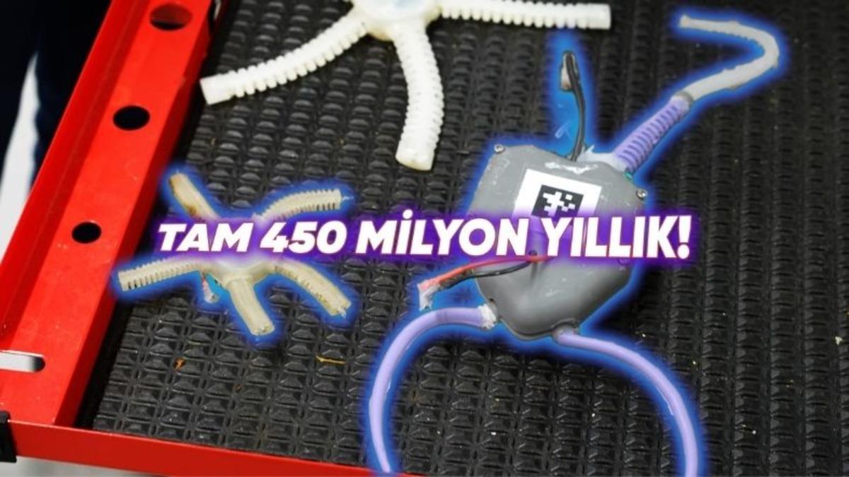 Bilim İnsanları, Soyu Tükenmiş 450 Milyon Yıllık Deniz Organizmalarını Taklit Eden Bir Robot Geliştirdi
