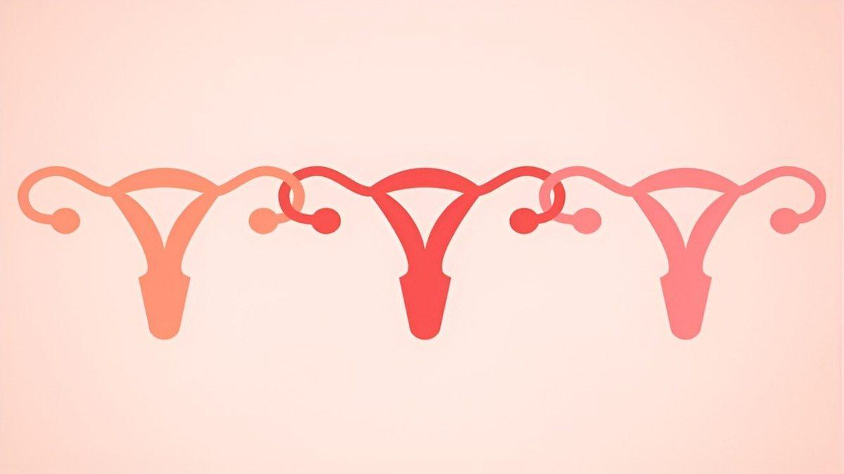 Kadınlar Yakın Arkadaşlarıyla Belirli Bir Zaman Geçirdikten Sonra Regl Döngüleri Gerçekten Senkronize mi Oluyor?