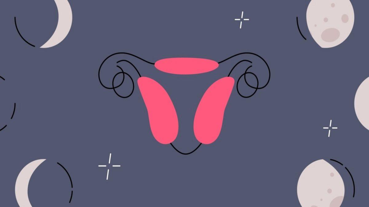 Kadınlar Yakın Arkadaşlarıyla Belirli Bir Zaman Geçirdikten Sonra Regl Döngüleri Gerçekten Senkronize mi Oluyor?