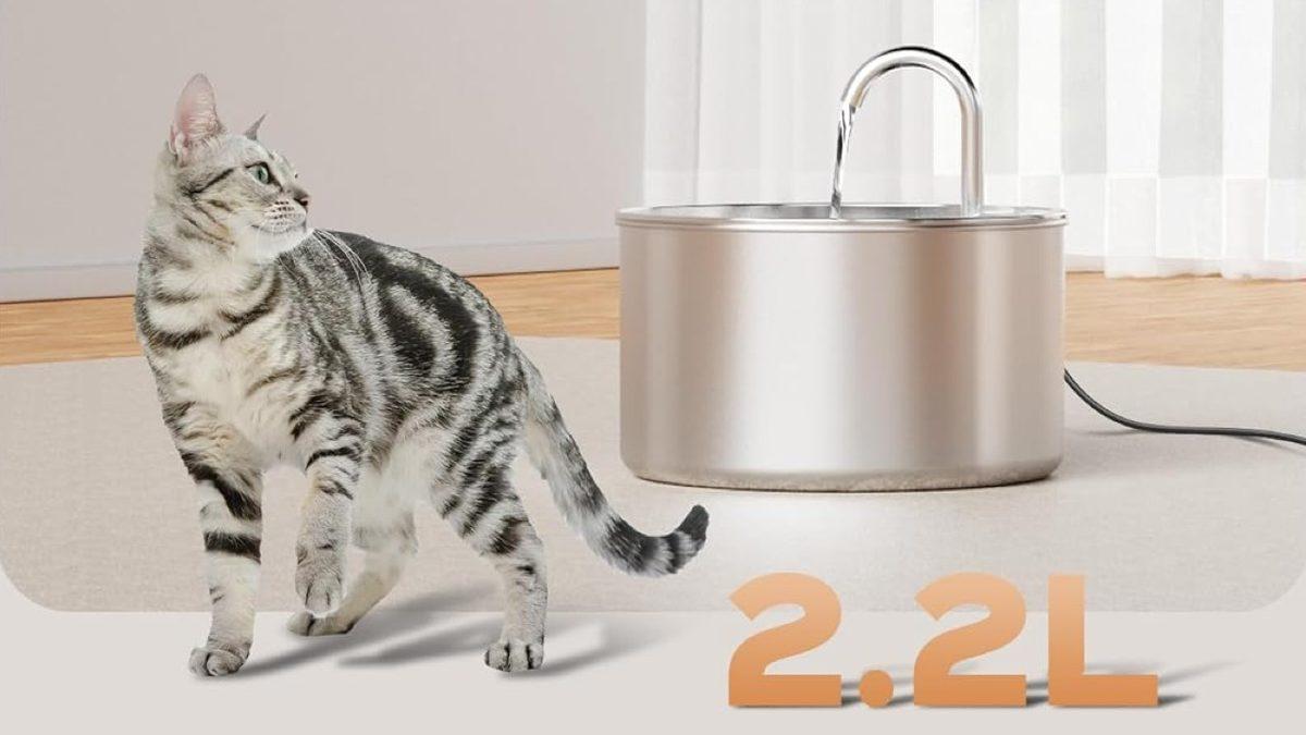 Evcil Hayvan Sahiplerinin Hayatını Kolaylaştıracak Ürünler