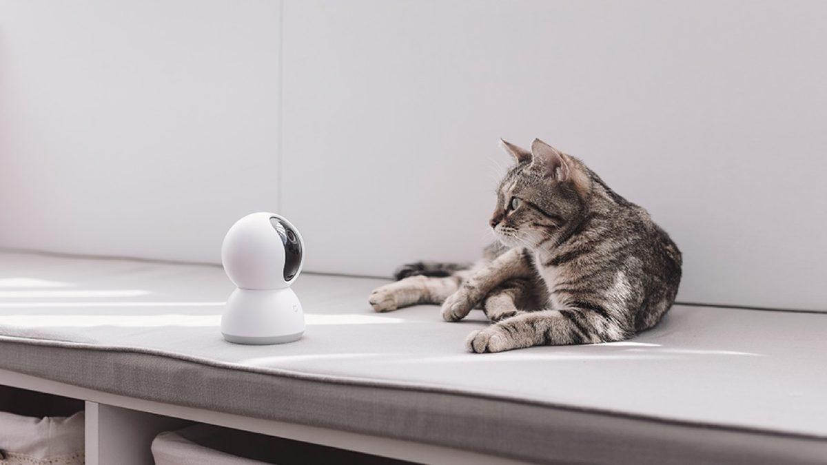 Evcil Hayvan Sahiplerinin Hayatını Kolaylaştıracak Ürünler