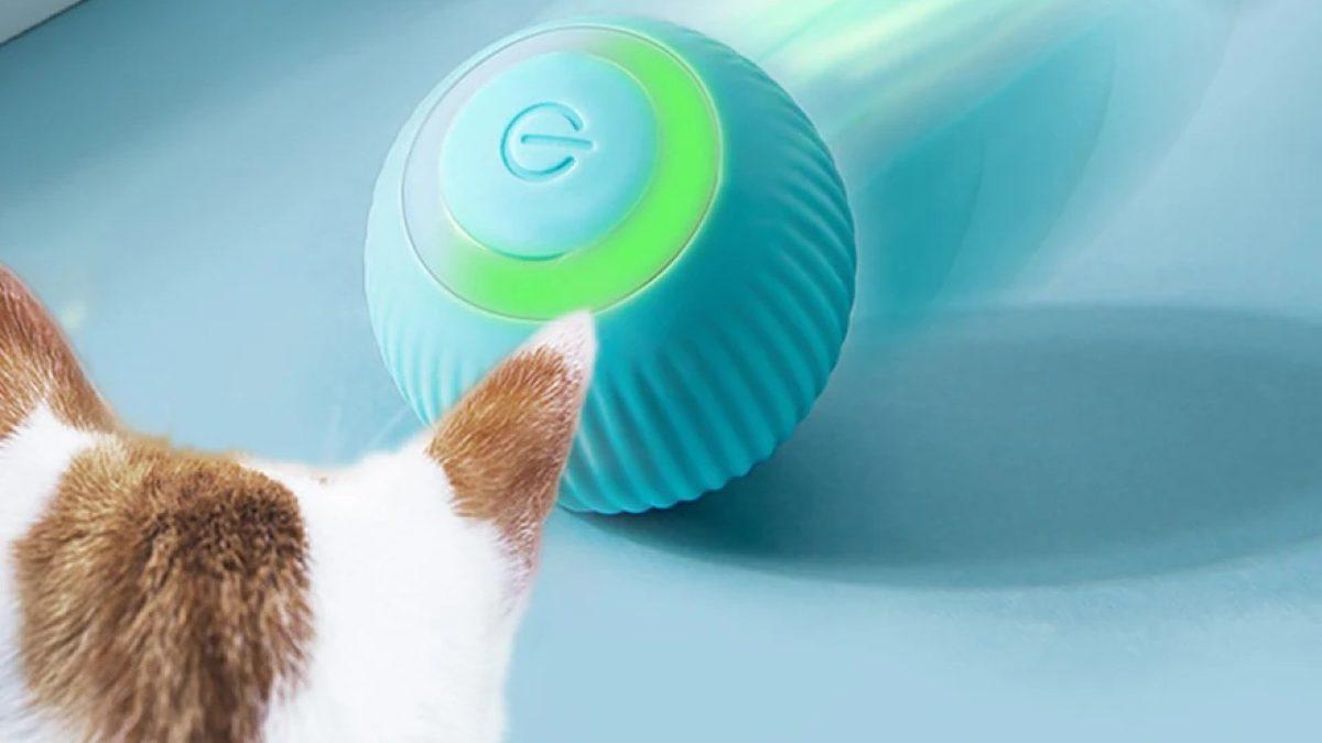 Evcil Hayvan Sahiplerinin Hayatını Kolaylaştıracak Ürünler