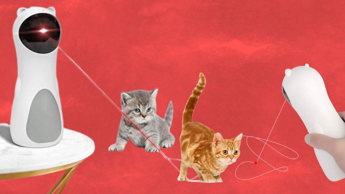 Evcil Hayvan Sahiplerinin Hayatını Kolaylaştıracak Ürünler