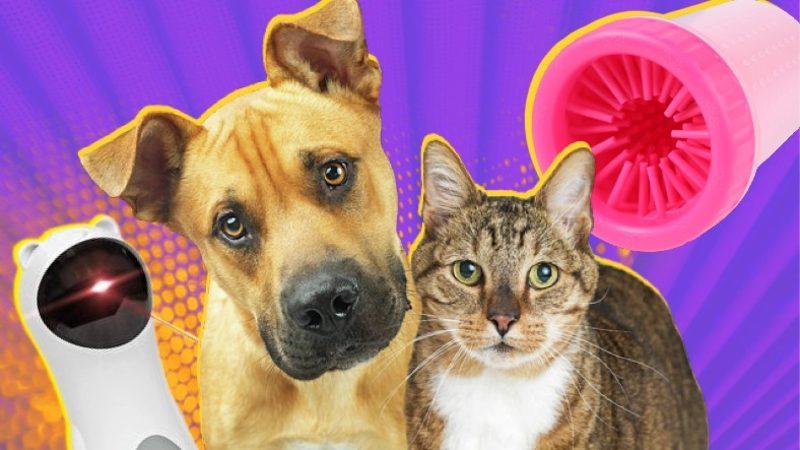 Evcil Hayvan Sahiplerinin Hayatını Kolaylaştıracak Ürünler