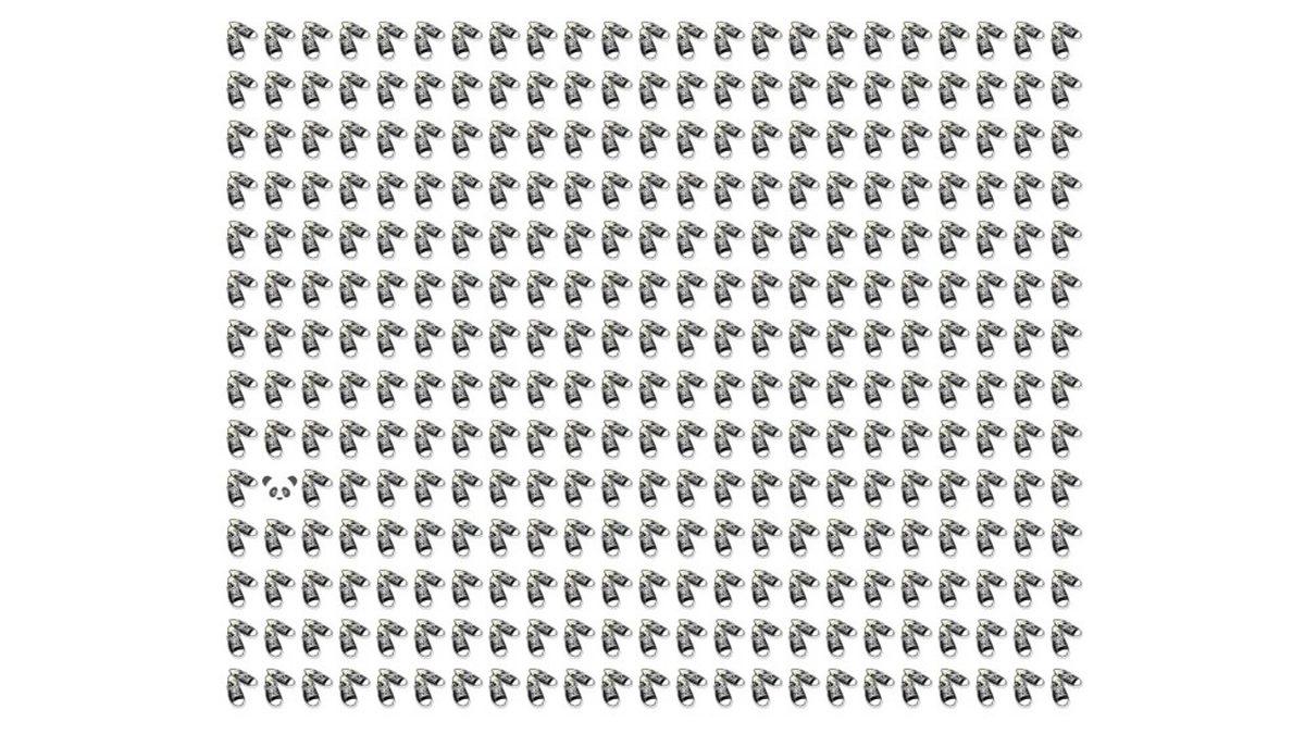 Yalnızca Çok İyi Bir Saptama Yeteneğine Sahip Kişilerin 10 Saniyede Çözebileceği 5 Görsel Test