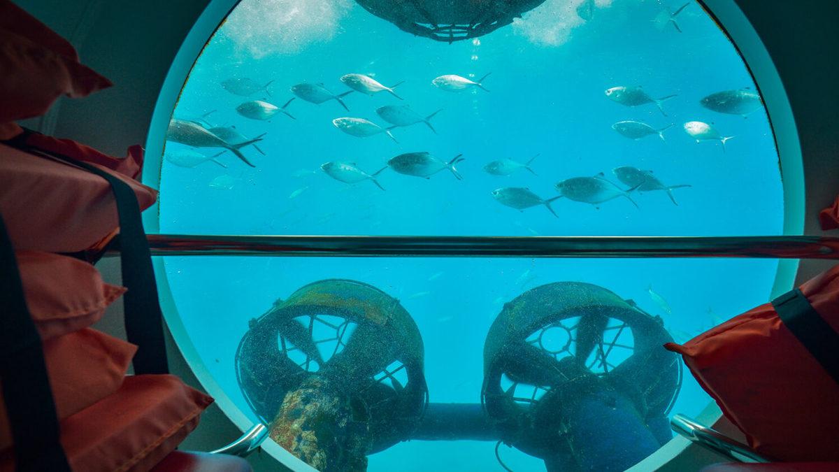 Mars’a Bile Gidebilmişken Okyanusların Neden Sadece %5’ini Keşfedebildik?