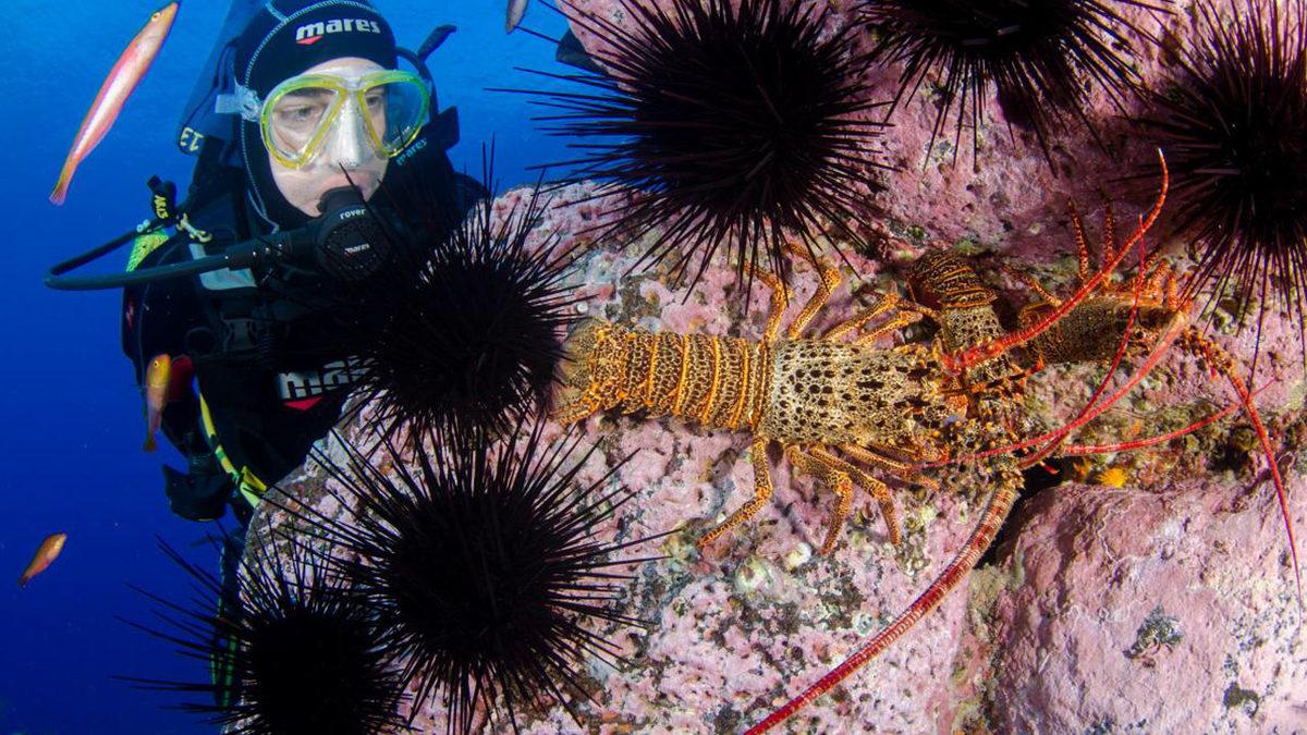 Mars’a Bile Gidebilmişken Okyanusların Neden Sadece %5’ini Keşfedebildik?