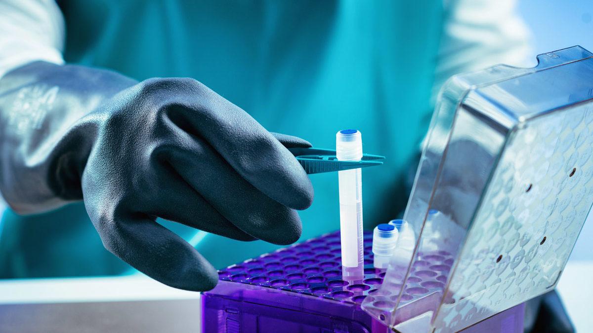 Seda Sayan’ın da Yüzüne Enjekte Ettirdiği 