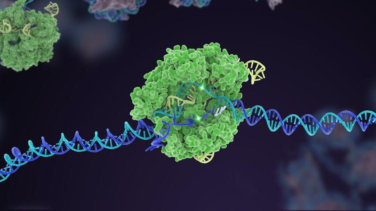 Tarihte İlk Defa CRISPR Tedavisi Onaylandı: Peki Bu Ne Anlama Geliyor?