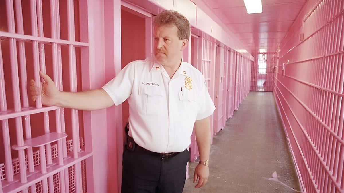 Bazı Ülkelerde Cezaevi Koğuşları Neden 