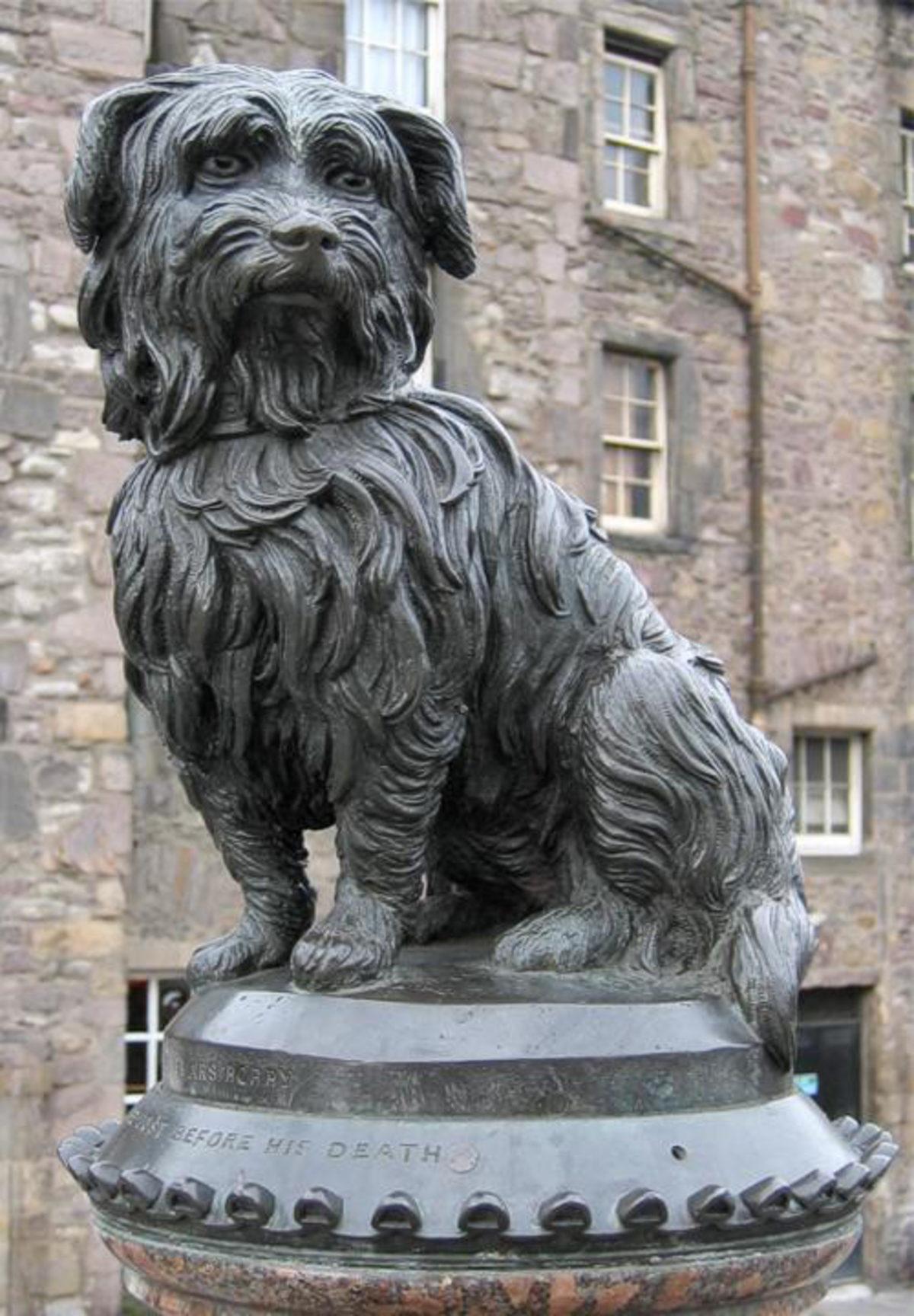 2 Tanesi Türkiye’den: Çok Sayıda İnsanın Sevgisini Kazanıp Heykelleri Dikilen Hayvan Dostlarımız ve Kalbinize Dokunacak Öyküleri