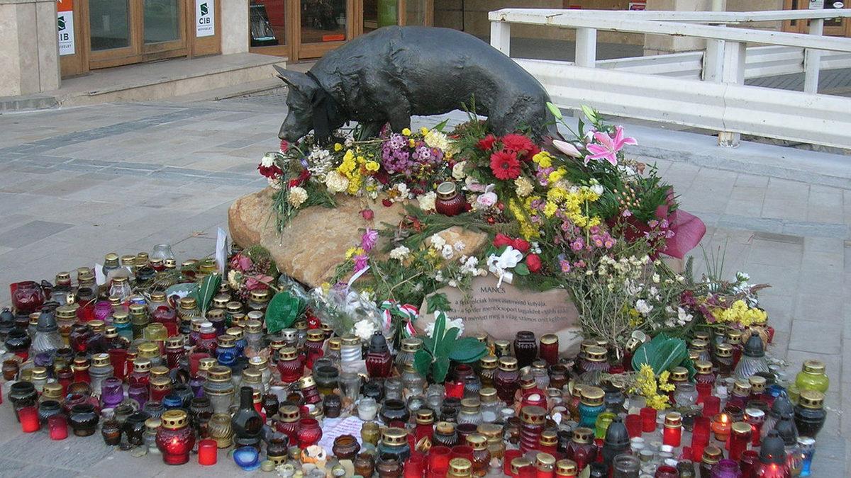 2 Tanesi Türkiye’den: Çok Sayıda İnsanın Sevgisini Kazanıp Heykelleri Dikilen Hayvan Dostlarımız ve Kalbinize Dokunacak Öyküleri