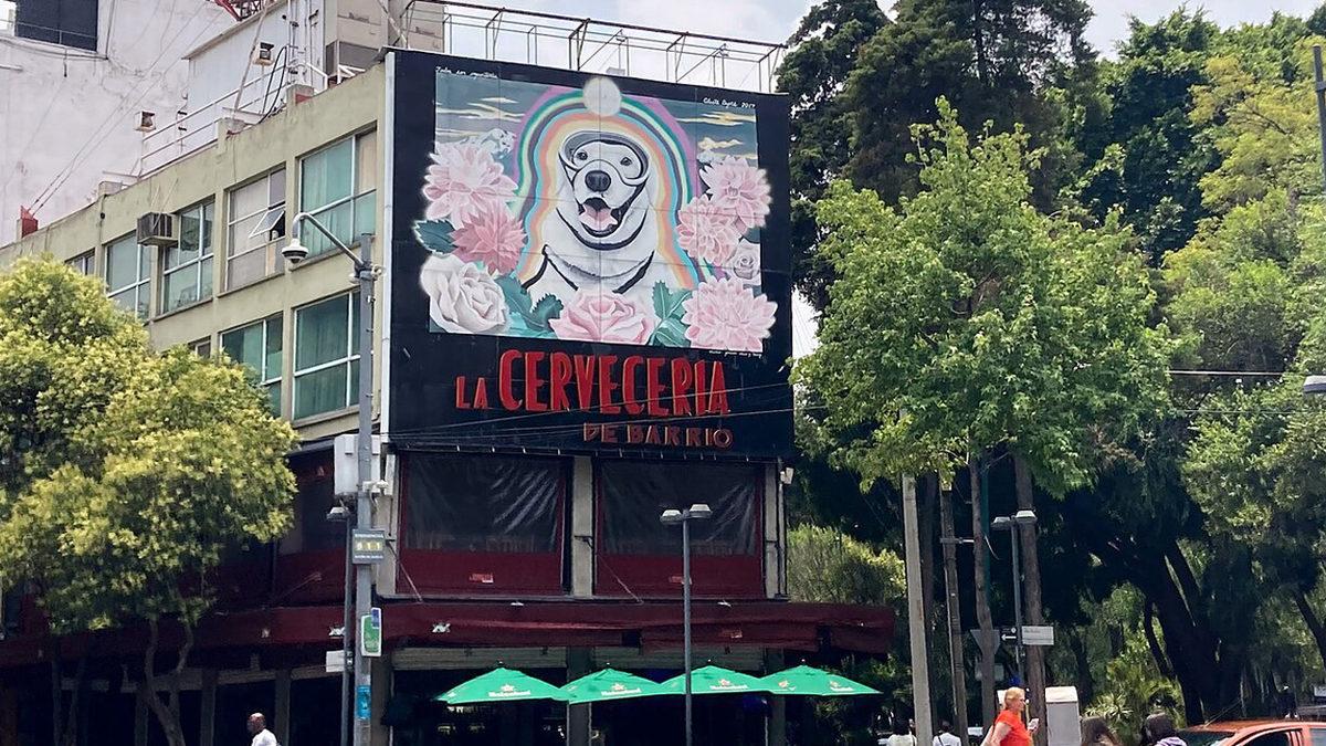 2 Tanesi Türkiye’den: Çok Sayıda İnsanın Sevgisini Kazanıp Heykelleri Dikilen Hayvan Dostlarımız ve Kalbinize Dokunacak Öyküleri