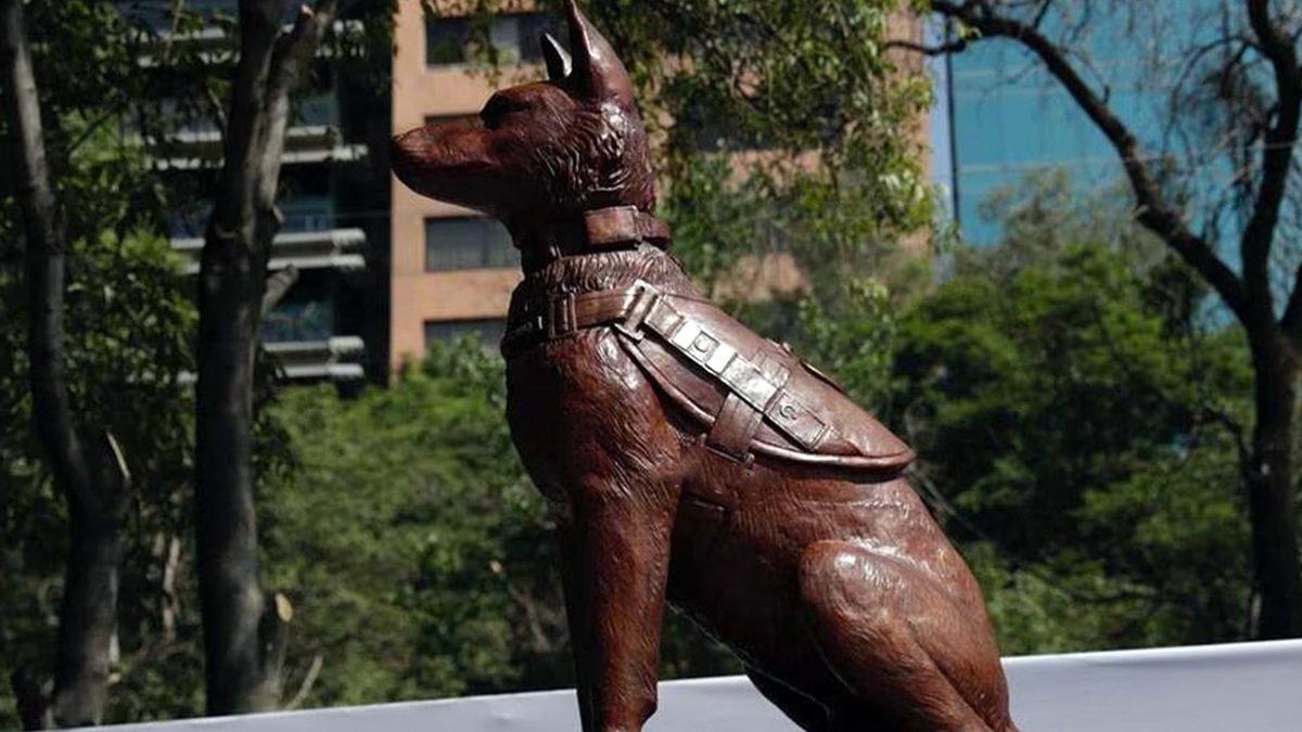 2 Tanesi Türkiye’den: Çok Sayıda İnsanın Sevgisini Kazanıp Heykelleri Dikilen Hayvan Dostlarımız ve Kalbinize Dokunacak Öyküleri