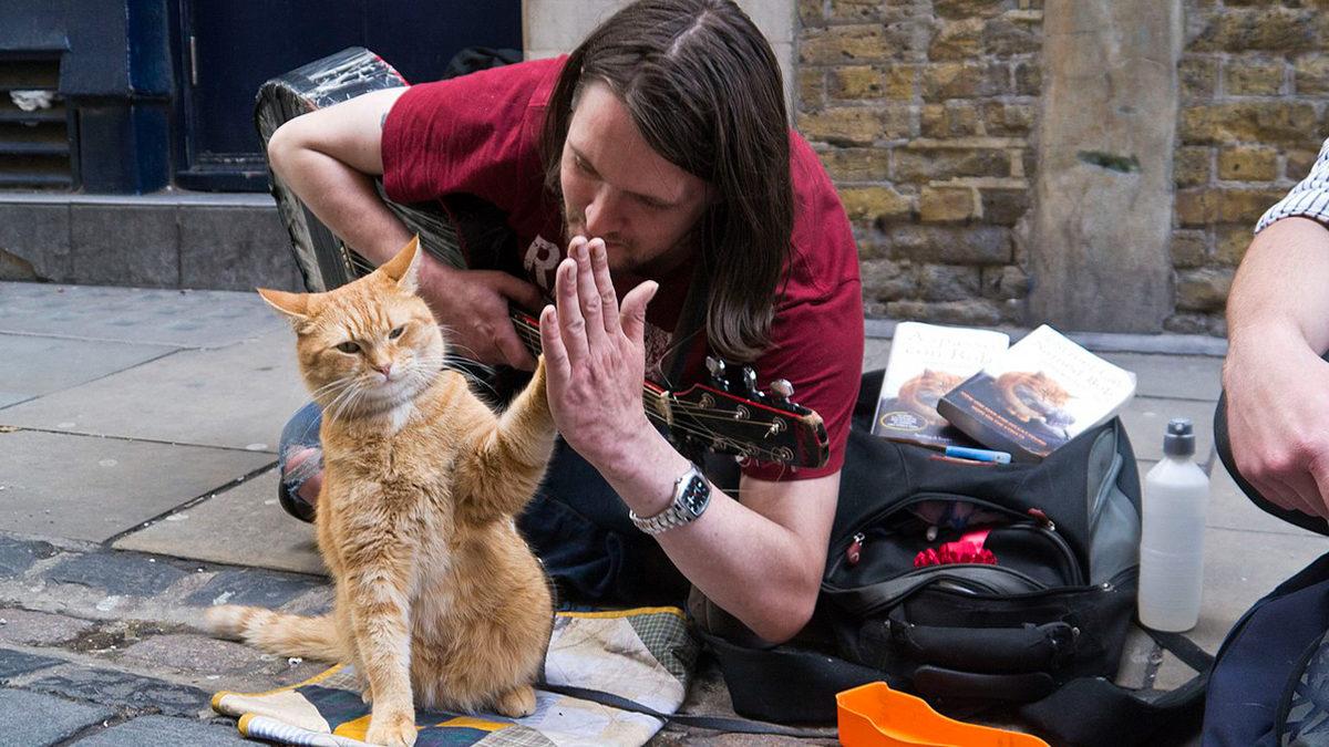 2 Tanesi Türkiye’den: Çok Sayıda İnsanın Sevgisini Kazanıp Heykelleri Dikilen Hayvan Dostlarımız ve Kalbinize Dokunacak Öyküleri