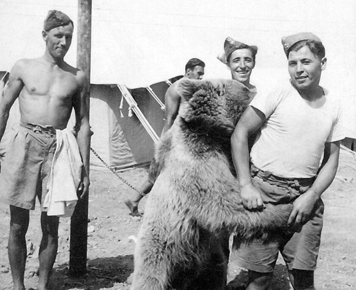 2 Tanesi Türkiye’den: Çok Sayıda İnsanın Sevgisini Kazanıp Heykelleri Dikilen Hayvan Dostlarımız ve Kalbinize Dokunacak Öyküleri