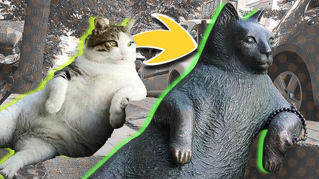 2 Tanesi Türkiye’den: Çok Sayıda İnsanın Sevgisini Kazanıp Heykelleri Dikilen Hayvan Dostlarımız ve Kalbinize Dokunacak Öyküleri