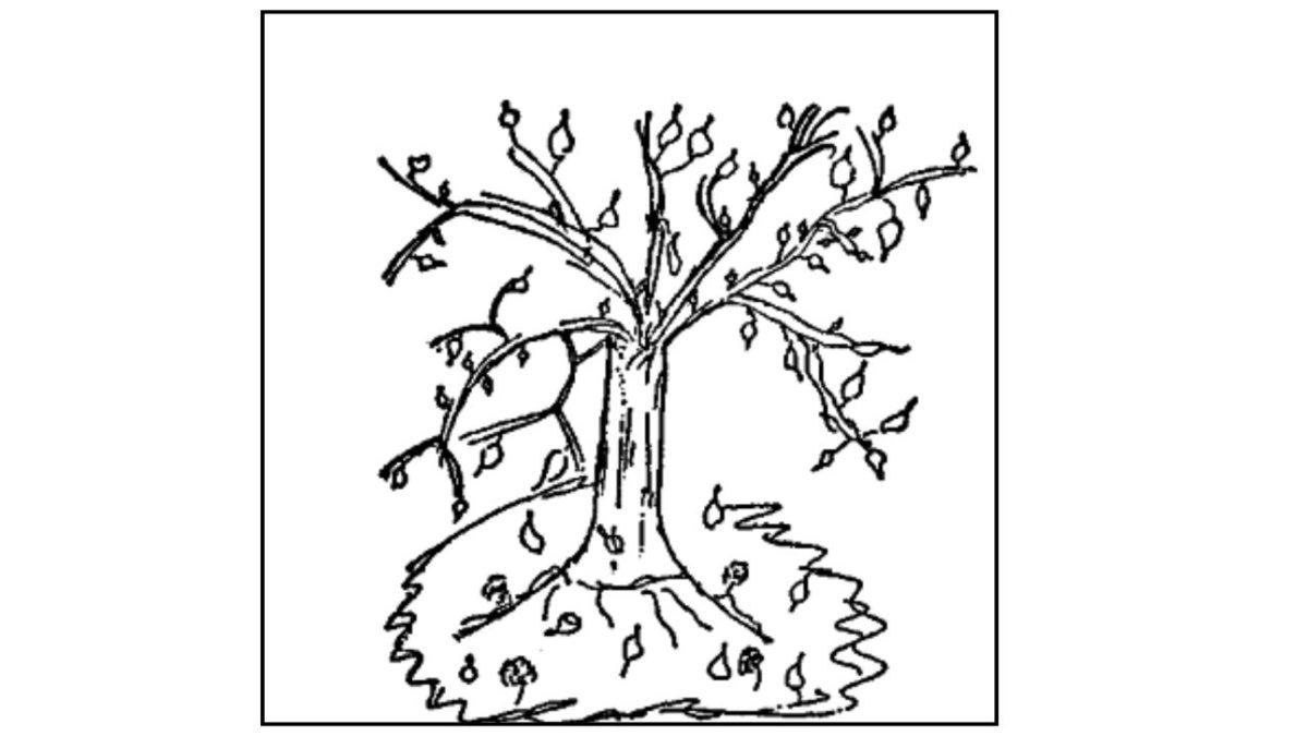Kalem, Kâğıdı Hazırlayın: Çizeceğiniz Tek Bir Ağaç Resmini Yorumlayarak Kendinizle Yüzleşmenizi Sağlayan Psikoloji Testi